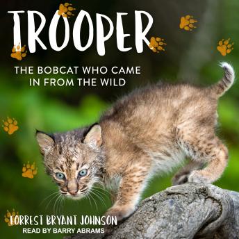 Trooper: The Bobcat Who Came in from the Wild sample.