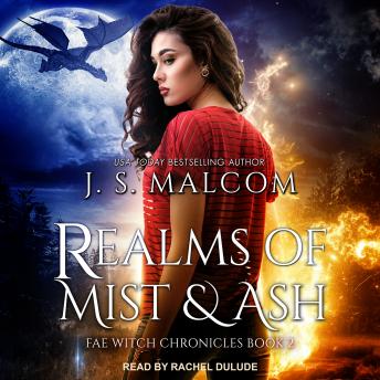 Realms of Mist and Ash: Fae Witch Chronicles Book 2