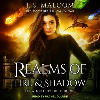 Realms of Fire and Shadow: Fae Witch Chronicles Book 3