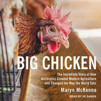 Big Chicken: The Incredible Story of How Antibiotics Created Modern Agriculture and Changed the Way the World Eats, Audio book by Maryn McKenna