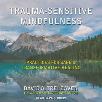 Trauma-Sensitive Mindfulness: Practices for Safe and Transformative Healing details