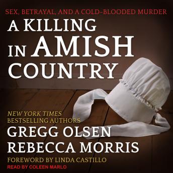 Killing in Amish Country: Sex, Betrayal, and a Cold-blooded Murder sample.