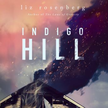 Indigo Hill: A Novel