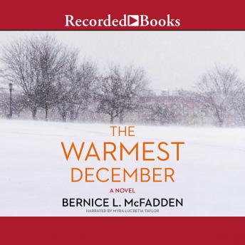 Warmest December, Audio book by Bernice L. McFadden