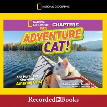 Adventure Cat!: And More True Stories of Amazing Cats!