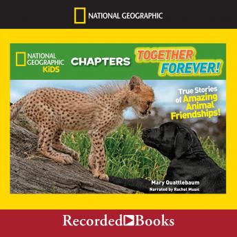 Together Forever!: True Stories of Amazing Animal Friendships, Audio book by Mary Quattlebaum