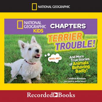 Terrier Trouble!: And More True Stories of Animals Behaving Badly