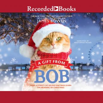 A Gift From Bob: How a Street Cat Helped One Man Learn the Meaning of Christmas