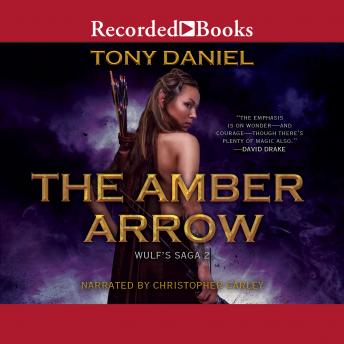 Download Amber Arrow by Tony Daniel