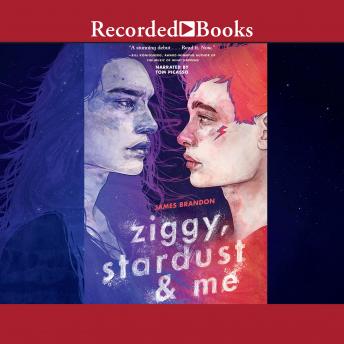 Ziggy, Stardust and Me sample.