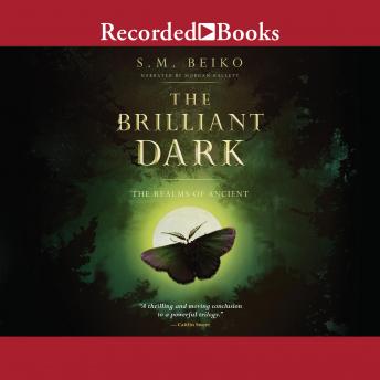 Download Best Audiobooks Kids The Brilliant Dark by S.M. Beiko Free Audiobooks Kids free audiobooks and podcast