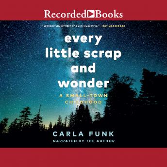 Every Little Scrap and Wonder: A Small-Town Childhood