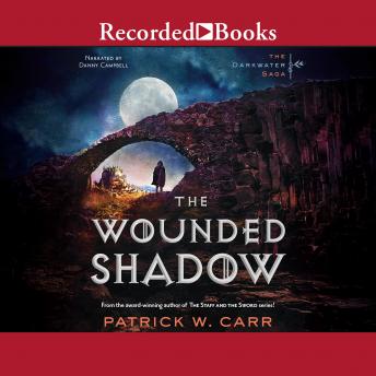 The Wounded Shadow