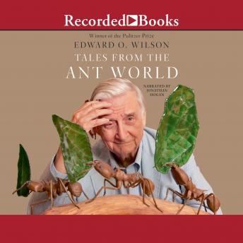 Tales from the Ant World details