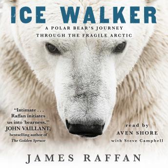Ice Walker: A Polar Bear's Journey through the Fragile Arctic, James Raffan
