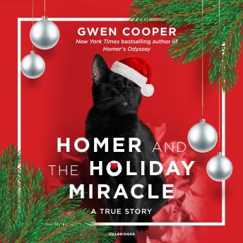 Homer and the Holiday Miracle: A True Story, Gwen Cooper