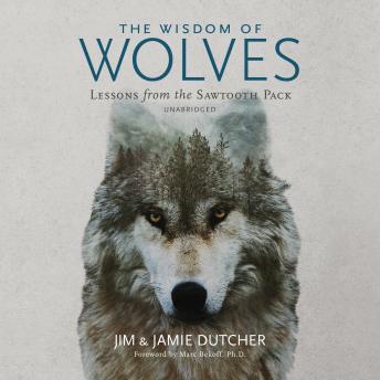 Wisdom of Wolves: Lessons from the Sawtooth Pack sample.