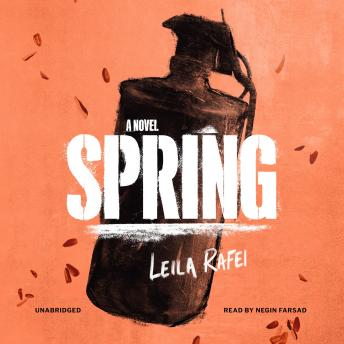 The Spring: A Novel