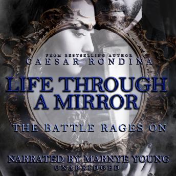 Life through a Mirror: The Battle Rages On