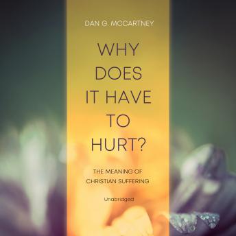 Why Does It Have to Hurt?: The Meaning of Christian Suffering