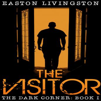 The Visitor: The Dark Corner - Book I