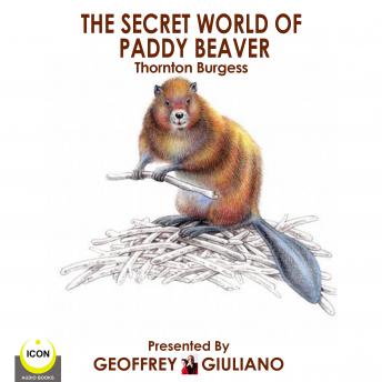 Download Best Audiobooks Kids The Secret World Of Paddy Beaver by Thornton Burgess Audiobook Free Online Kids free audiobooks and podcast