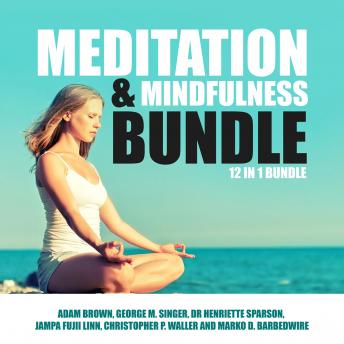 Meditation and Mindfulness Bundle: 12 in 1 Bundle
