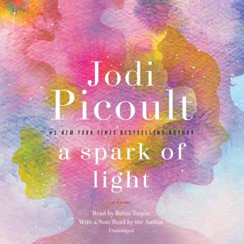Download Spark of Light: A Novel by Jodi Picoult