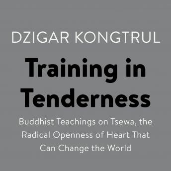 Download Training in Tenderness: Buddhist Teachings on Tsewa, the Radical Openness of Heart That Can Change the  World by Dzigar Kongtrul