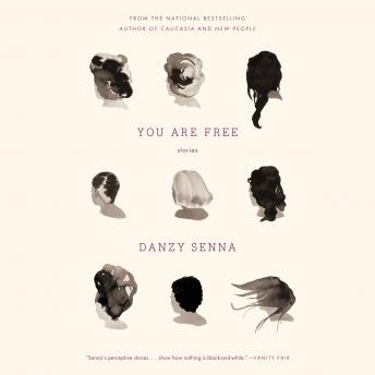 You Are Free: Stories, Audio book by Danzy Senna