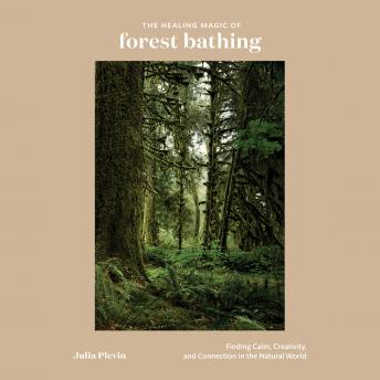 The Healing Magic of Forest Bathing: Finding Calm, Creativity, and Connection in the Natural World