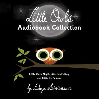 Little Owl's Audiobook Collection: Little Owl's Night; Little Owl's Day; Little Owl's Snow