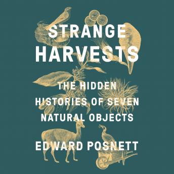 Download Strange Harvests: The Hidden Histories of Seven Natural Objects by Edward Posnett