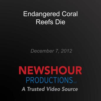 Endangered Coral Reefs Die