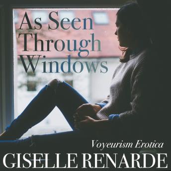 As Seen Through Windows: Voyeurism Erotica