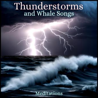 Thunderstorm and Whale Songs: Meditations