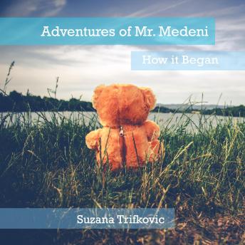 Adventures of Mr. Medeni: How it Began