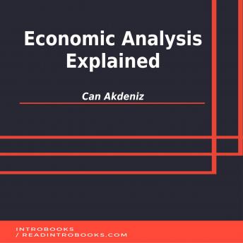 Economic Analysis Explained