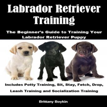 Labrador Retriever Training: The Beginner’s Guide to Training Your Labrador Retriever Puppy: Includes Potty Training, Sit, Stay, Fetch, Drop, Leash Training and Socialization Training