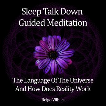 Sleep Talk Down Guided Meditation: The Language of The Universe And How Does That Reality Work