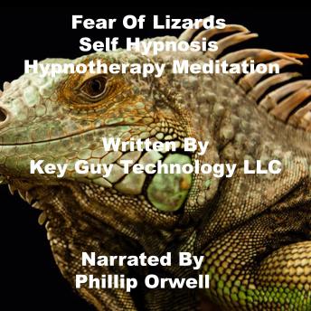 Fear Of Lizards Self Hypnosis Hypnotherapy Meditation