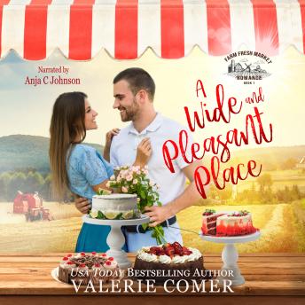 Download Wide and Pleasant Place: a small-town Christian romance by Valerie Comer