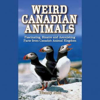Weird Canadian Animals