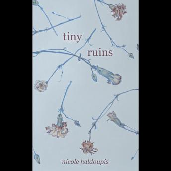 Tiny Ruins