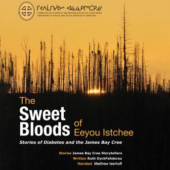 Sweet Bloods of Eeyou Istchee: Stories of Diabetes and the James Bay Cree sample.
