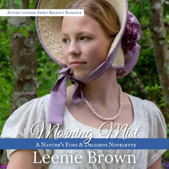 Morning Mist: A Nature's Fury and Delights Novelette