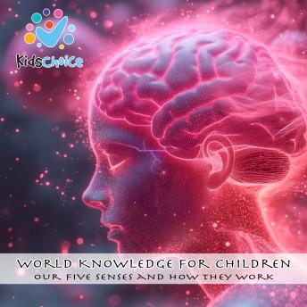 Our five senses and how they work