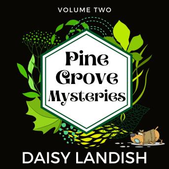 Pine Grove Mysteries - Volume 2: A Collection of Cozy Mysteries