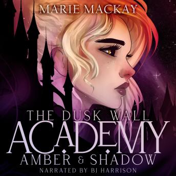 Amber and Shadow: A Why Choose Academy Romance