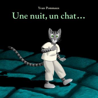 [French] - Une nuit, un chat…